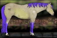 Horse Color:Watercolor Bay 