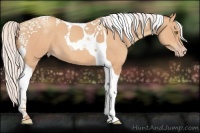 Horse Color:Silver Amber Champagne Tobiano 