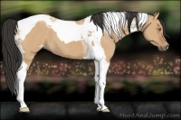 Horse Color:Bay Dun Tobiano 