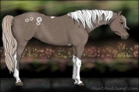 Horse Color:Silver Black Tobiano 