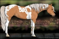 Horse Color:Silver Bay Tobiano 