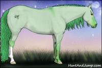 Horse Color:Watercolor Liver Red Dun 