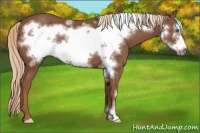 Horse Color:Chestnut Frame 