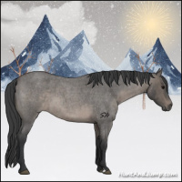Horse Color:Blue Roan 