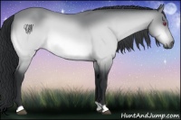 Horse Color:Brown Chinchilla 