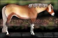 Horse Color:Silver Buckskin Onyx 