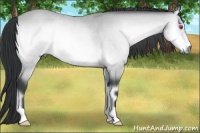 Horse Color:Brown Chinchilla Onyx 