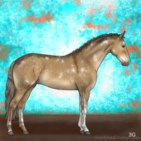 Horse Color:White Spotted Chocolate Palomino Dun Tobiano Rabicano