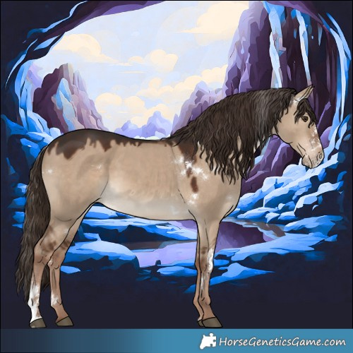 Horse Color:White Spotted Liver Red Dun Sabino Rabicano 