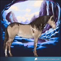 Horse Color:White Spotted Liver Red Dun Sabino Rabicano 