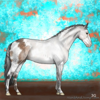 Horse Color:Brown Dun Splash Tobiano 