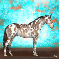 Horse Color:White Spotted Liver Red Dun Appaloosa 