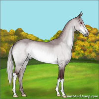 Horse Color:Chocolate Silver Brown Chinchilla 