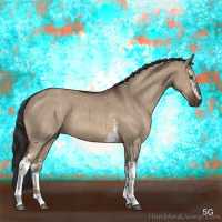 Horse Color:White Spotted Brown Dun Rabicano Brindle 