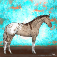Horse Color:Silver Brown Dun Appaloosa Rabicano Brindle 