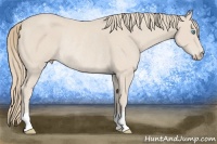 Horse Color:Smoky Creme Rabicano 