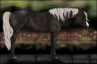 Horse Color:Midnight Silver Black 