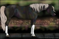 Horse Color:Midnight Silver Black 