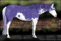 Horse Color:Watercolor Black Sabino Splash 