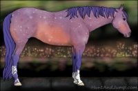 Horse Color:Watercolor Bay 
