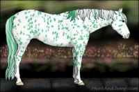 Horse Color:Watercolor Black Sabino Appaloosa 