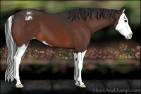 Horse Color:Brown Sabino Splash Blanket 