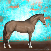 Horse Color:Liver Red Dun Sabino Brindle 