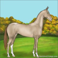 Horse Color:Smoky Black Pearl 