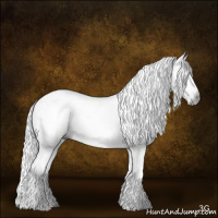 Horse Color:Gray Liver Red Dun Tobiano Blanket 