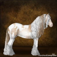 Horse Color:Gray White Spotted Gold Champagne Dun Tobiano 