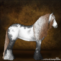 Horse Color:Gray Liver Chestnut Frame