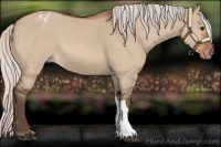 Horse Color:Silver Bay Dun Varnish