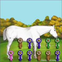Horse Color:Gray Classic Cream Champagne Frame