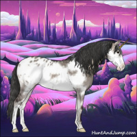 Horse Color:Grullo Onyx Frame Appaloosa