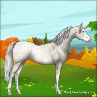 Horse Color:White Spotted Liver Red Dun Ice Pearl Mushroom Splash Rabicano 