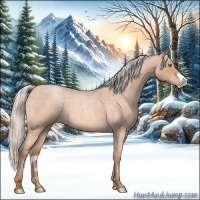 Horse Color:Silver Amber Champagne Roan Frame