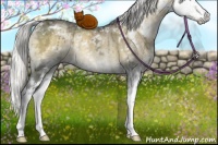 Horse Color:Silver Smoky Grullo Chinchilla Ice Onyx Sabino Brindle 