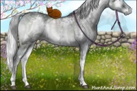 Horse Color:White Spotted Silver Grullo Chinchilla Ice Onyx Sabino 