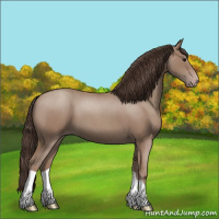 Horse Color:Classic Champagne Roan 