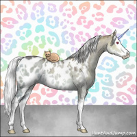 Horse Color:White Spotted Chocolate Silver Grullo Chinchilla Ice Splash Appaloosa 
