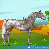 Horse Color:White Spotted Liver Red Dun Ice Mushroom Brindle