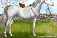Horse Color:Gray White Spotted Liver Red Dun Ice Pearl Brindle 