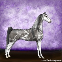 Horse Color:Grullo Sabino Brindle
