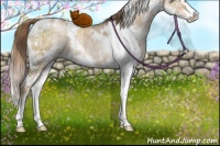 Horse Color:White Spotted Liver Red Dun Pearl Sabino Splash Brindle 