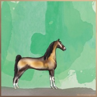 Horse Color:Buckskin Onyx 