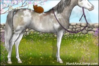 Horse Color:White Spotted Liver Red Dun Mushroom Splash Rabicano