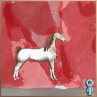 Horse Color:Buckskin Pearl Dun Near Fewspot Brindle 