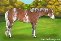 Horse Color:White Spotted Silver Bay Splash