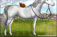 Horse Color:Gray White Spotted Grullo Onyx Mushroom Brindle