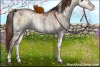 Horse Color:White Spotted Brown Ice Pearl Onyx Rabicano Brindle